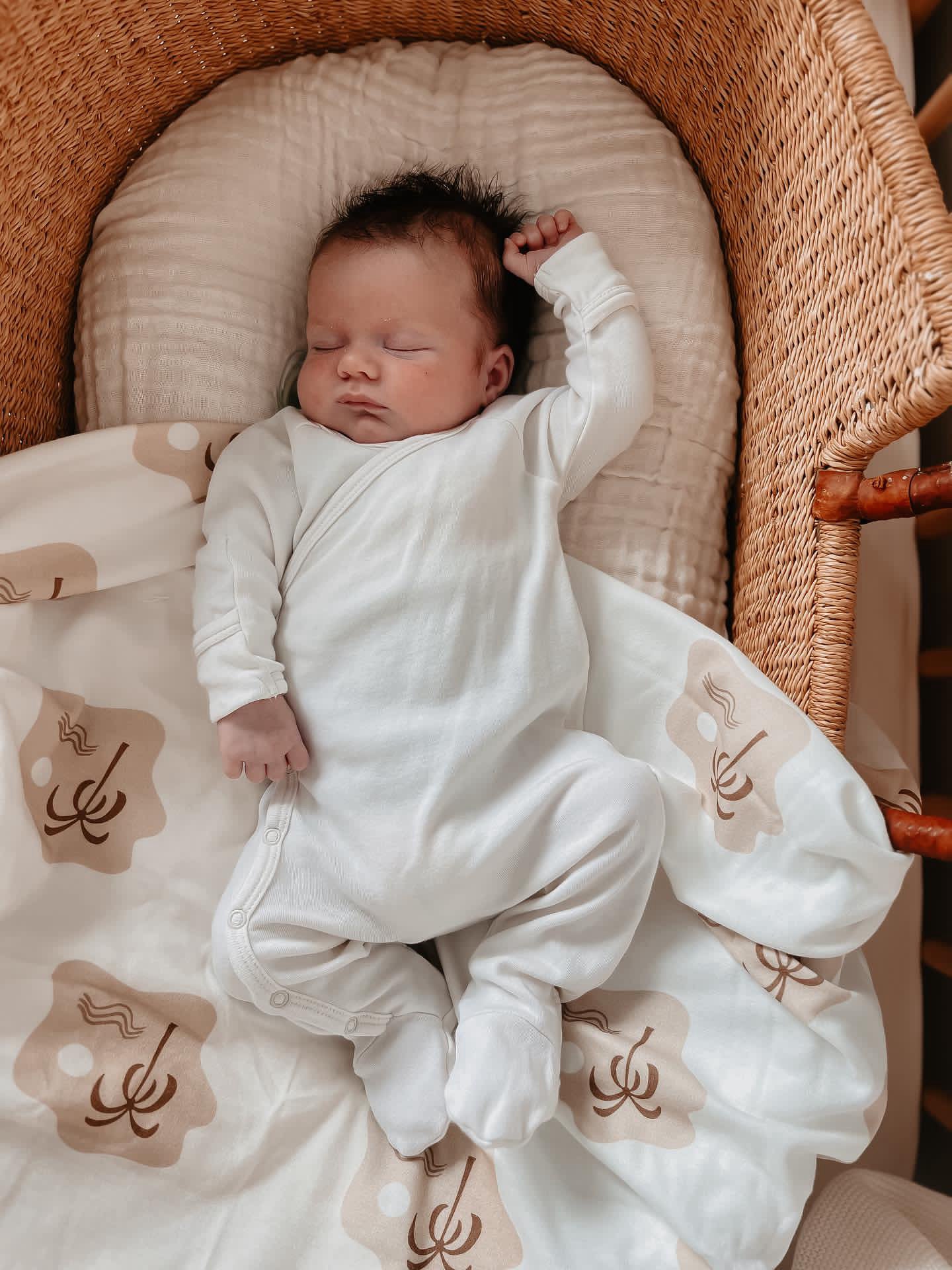 Swaddle | Palm